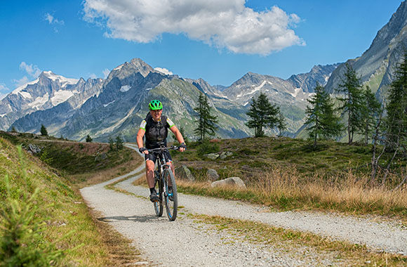 Ciclista
