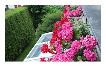 Appartamento balkone fiori